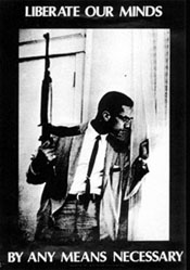 Malcolm_X_any_means_necessary