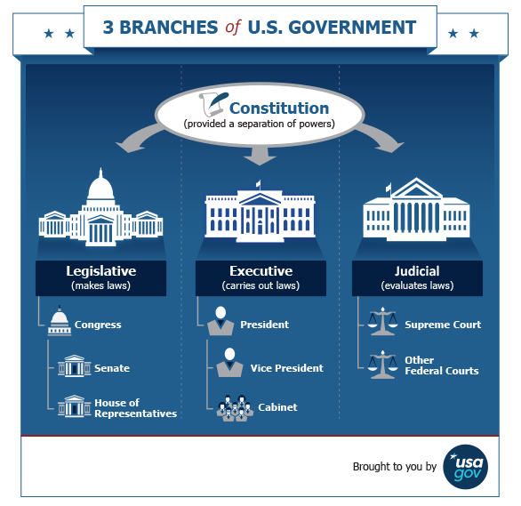 usa_government_branches_infographic