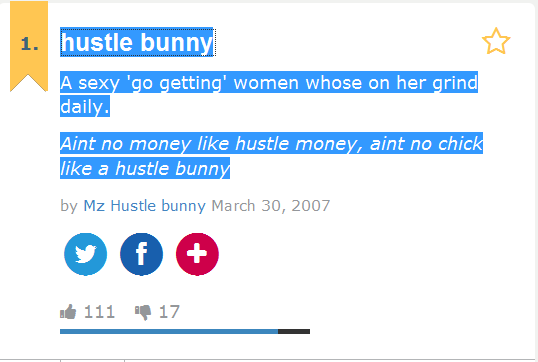 http://www.urbandictionary.com/define.php?term=hustle%20bunny