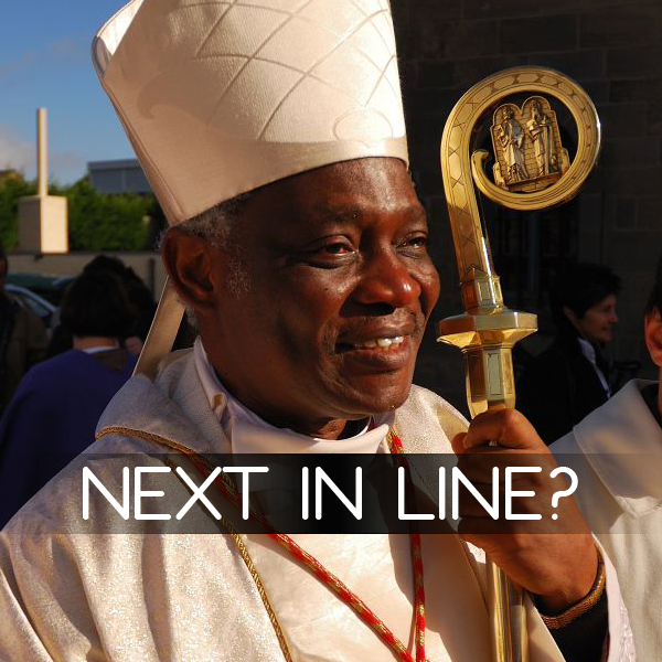 Public Figure Cardinal Peter Turkson serves as the President of the Pontifical Council for Justice and Peace in Vatican City. "My twitter account has been activated: @CardinalTurkson" - Cardinal Peter Turkson